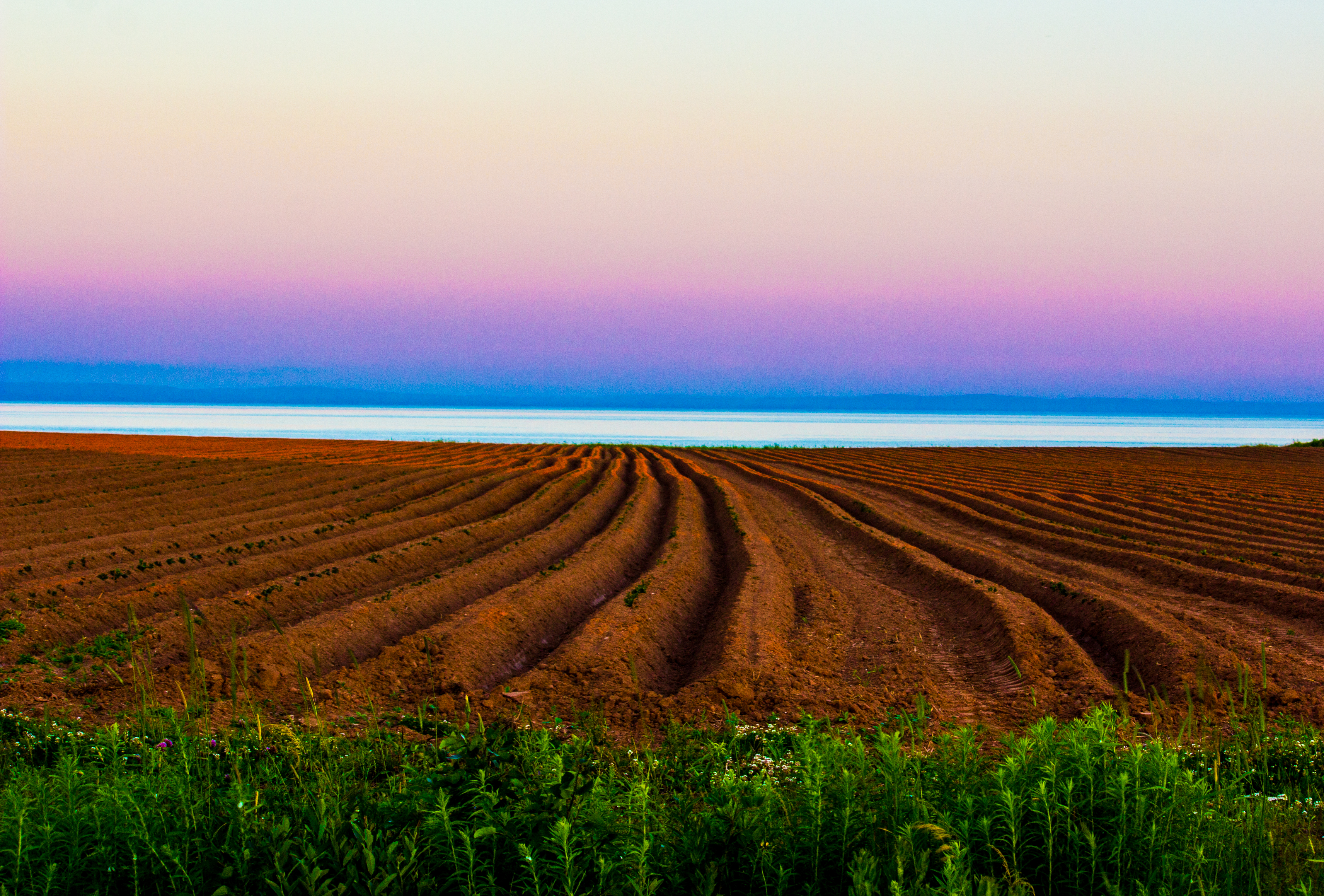 Oceanfront Farmland