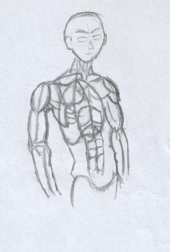 anatomy by Greg1992 on DeviantArt