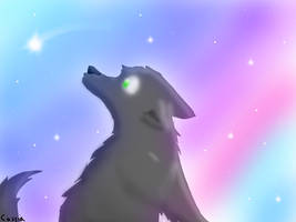 Wolf Looking at Sky