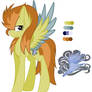 Mlp Whirlwind reference sheet