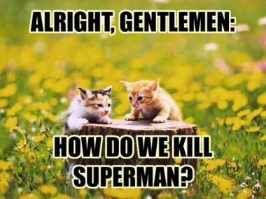 lolcats kill superman