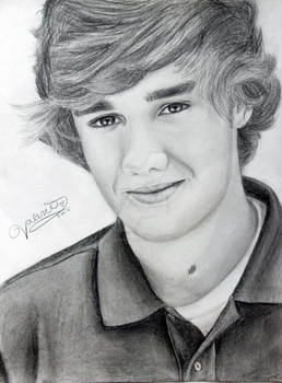 One Direction Drawing - Liam Payne :D