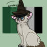 Grumpy Cat u r a lizzard