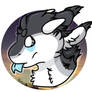Asher Headshot