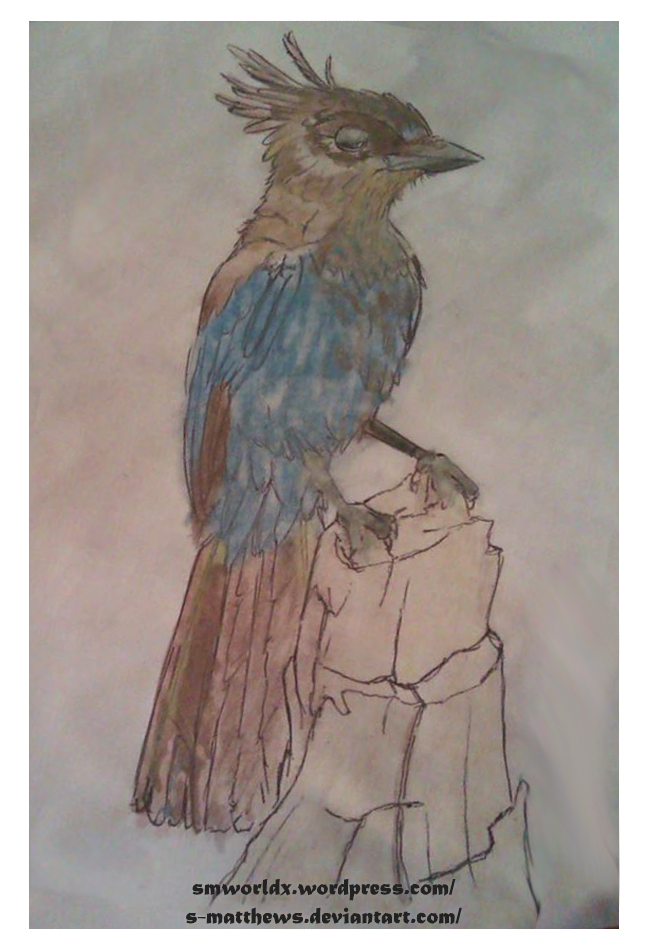 Stellers Jay