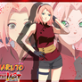 Naruto Movie the Last: Haruno Sakura