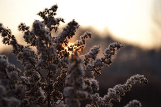 Warm Autumn Sunset