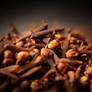 Cloves. Macro 3