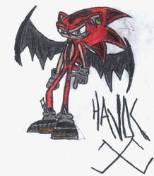 Havoc The Winged hedgehog