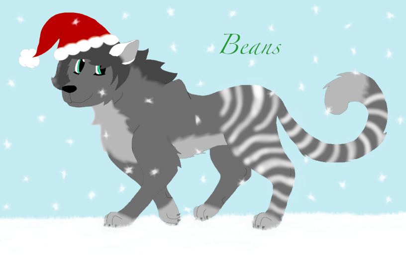 Christmas Gift ~ Beans