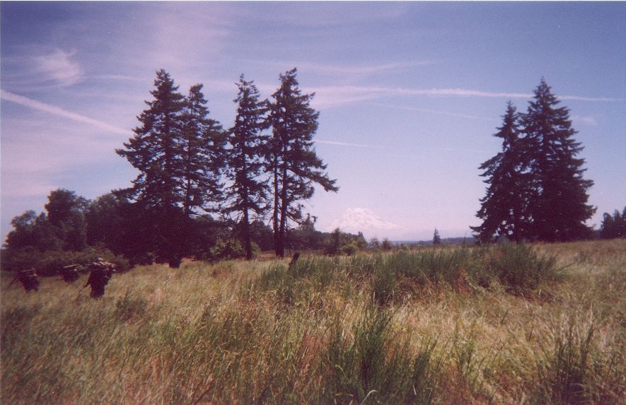 Mount Rainier Stop Following Me