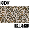 sexxii leopard