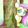 Shy Pony