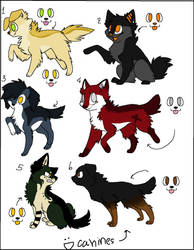 canine point adopts