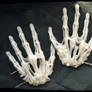 Bones