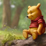 A NEW POOH PERSPECTIVE: Artistic Balance of Charm