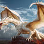 Whispers of the Storm: The Albino Dragon's Roar