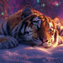 Winter Dream of the Resting Tiger