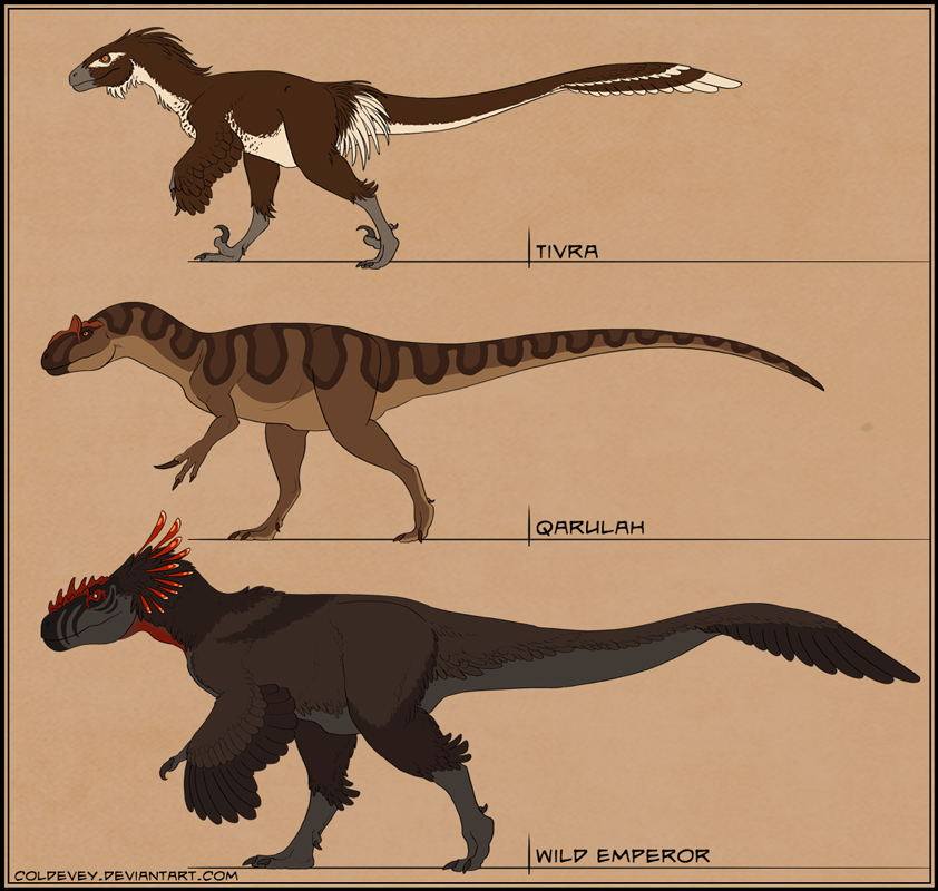 Final designs - lineup