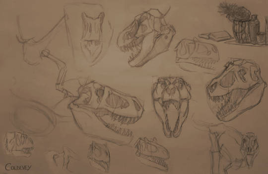 Observational Sketches