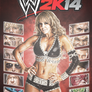 WWE 2K14 Custom Cover Art