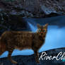 RiverClan - Down by the River