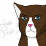 Hawkfrost