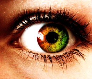 Rasta Eye