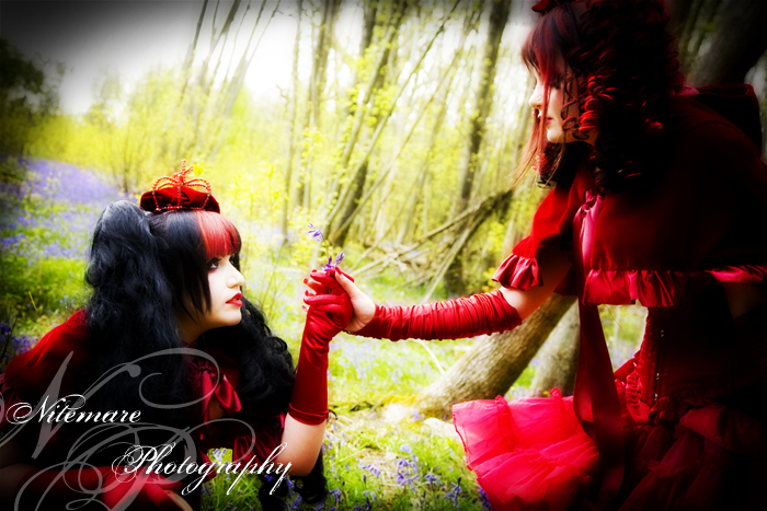 Little Red Riding Hood V