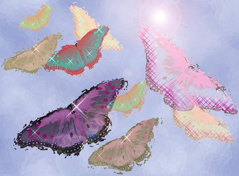A Butterfly Dream