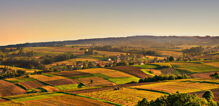 Countryside View HDR