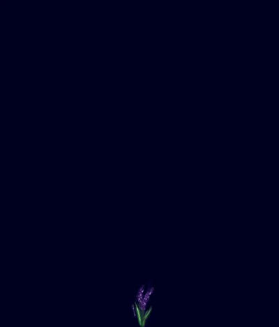 Gnash Album Cover By Shizarri On Deviantart