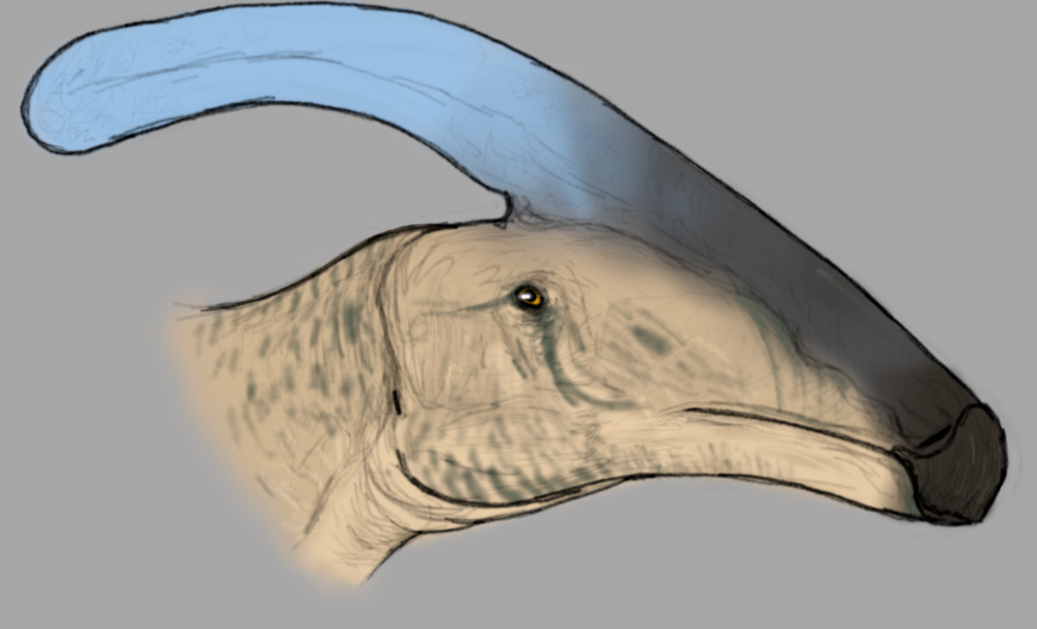Charonosaurus by EnnieNovachrono on DeviantArt