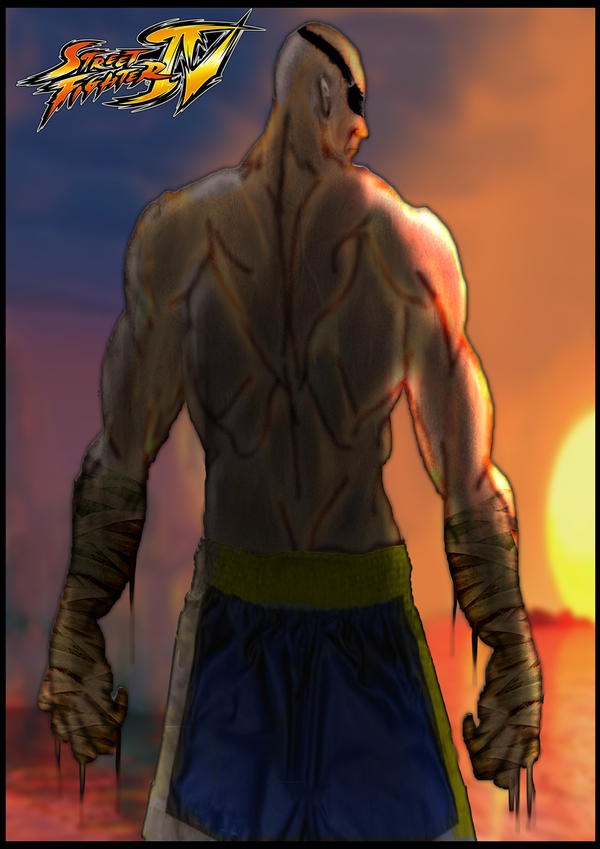 Sagat Street Fighter IV poster