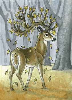 Seasonal Stag