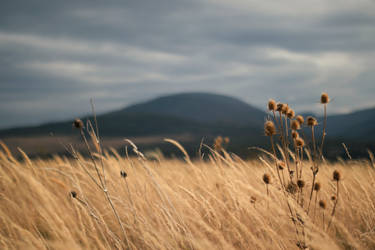 Losing myself in nature's beauty