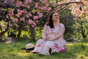 Under the Sakura tree