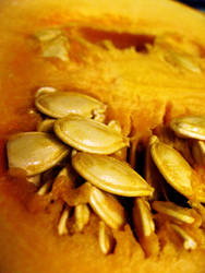 Pumpkin seeds