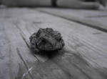 Awww toad by beresford666