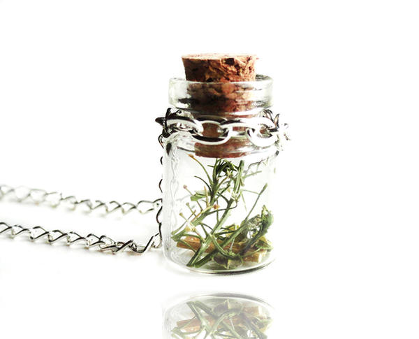 Make a Wish Nature Glass Bottle Vial Necklace