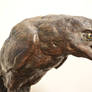 New Raven,detail