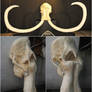 Woolly Mammoth (Mammuthus primigenius) skull