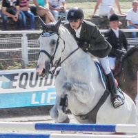 Horse jumping competition stock 10