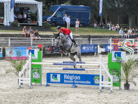 Horse jumping competition stock 12
