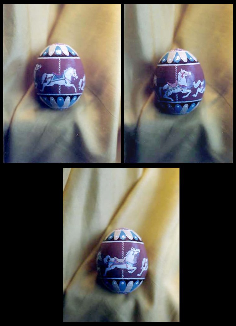 Handpainted Hen Egg - Carousel