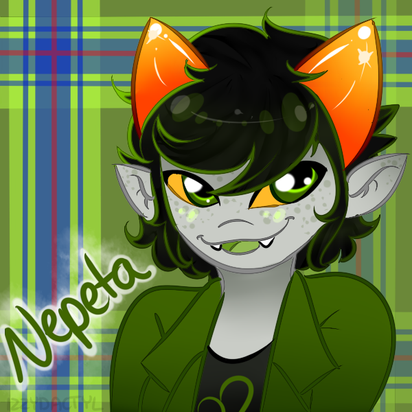 Nepeta