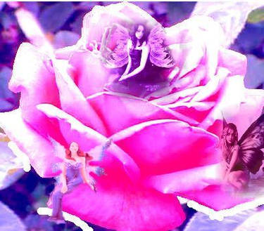 the flower of the fairies