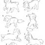 7 puppy free lineart