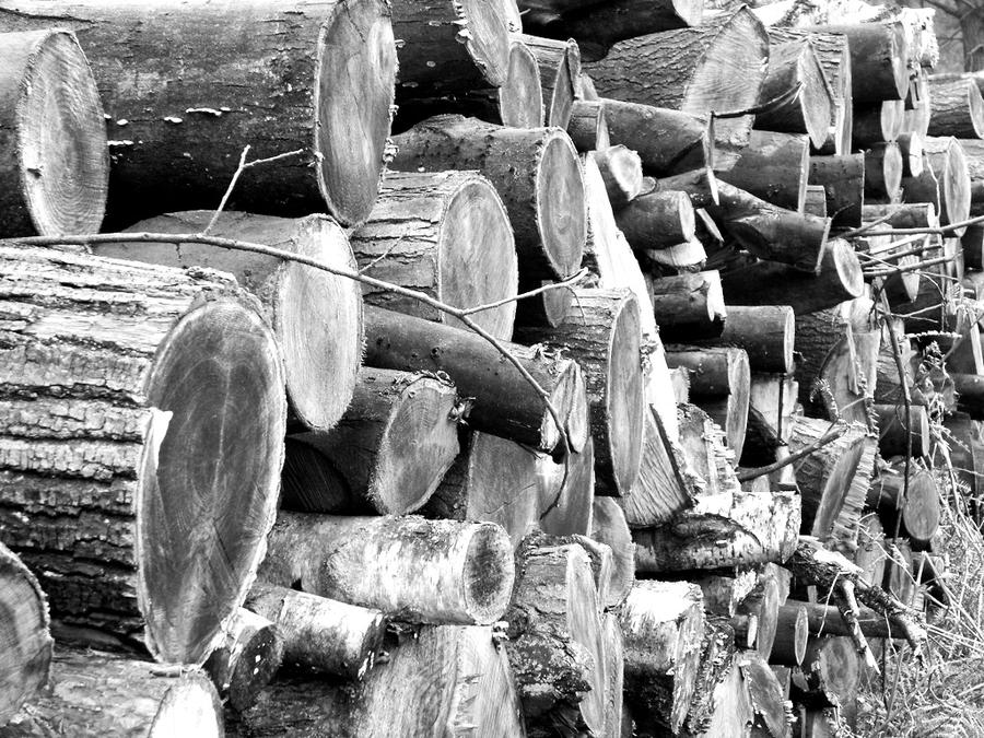 Log stack by dunka on DeviantArt