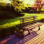 Bench